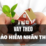 Vay tiền theo Bảo hiểm nhân thọ | Lãi suất ưu đãi