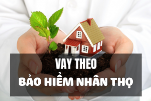 Vay tiền theo Hợp đồng Bảo hiểm nhân thọ