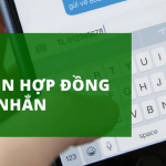 Kiểm tra thông tin Hợp đồng FE Credit